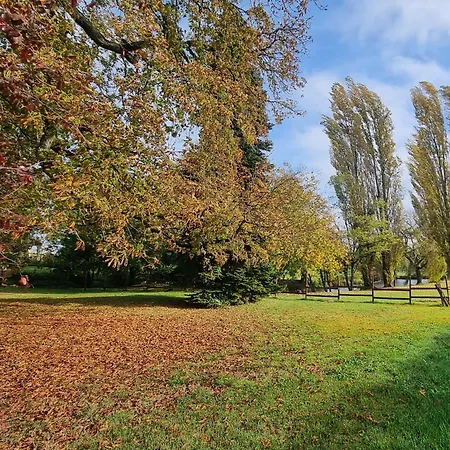 Réole Familial Au Calme - Parc, Piscine&parking Appartement *